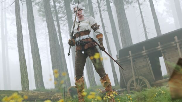 The Witcher