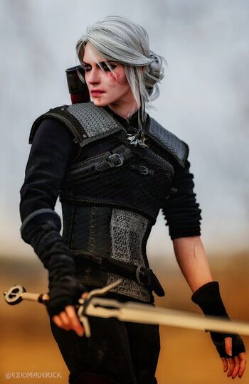 The Witcher