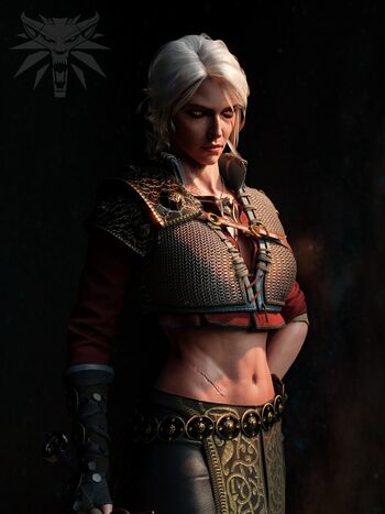 The Witcher