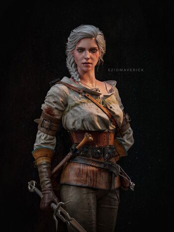 The Witcher