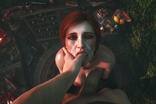 The Witcher