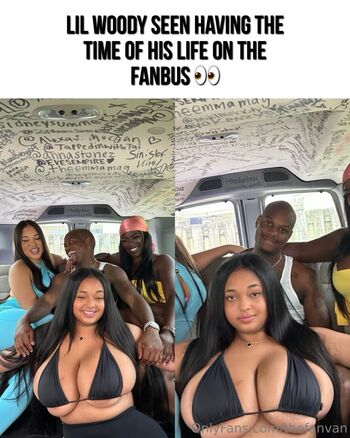 thefanvan