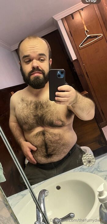 thefurrydwarf