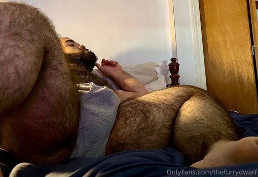 thefurrydwarf