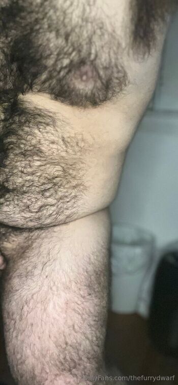 thefurrydwarf