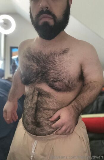 thefurrydwarf