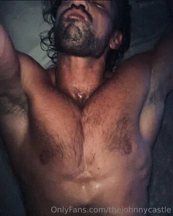 thejohnnycastle