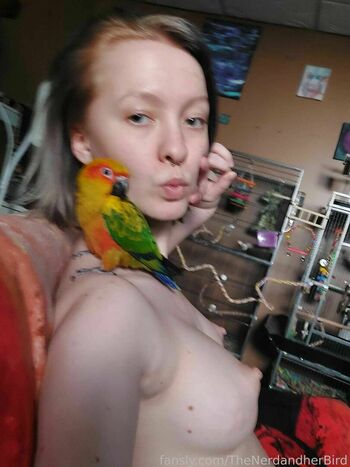 TheNerdandherBird