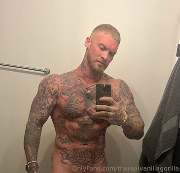 therealvanillagorilla