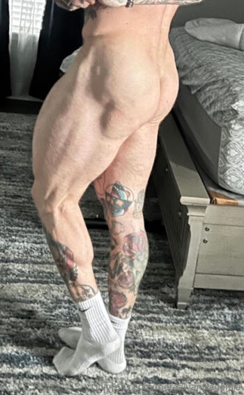 therealvanillagorilla