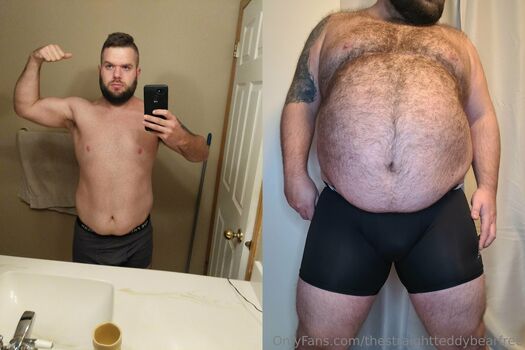 thestraightteddybearfree
