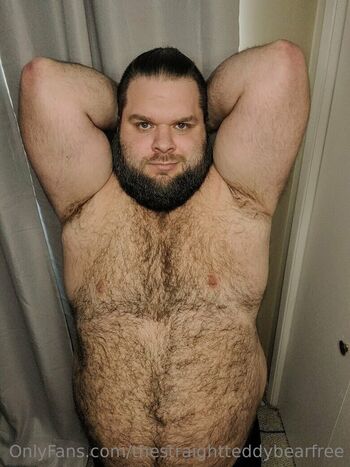 thestraightteddybearfree