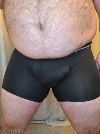 thestraightteddybearfree