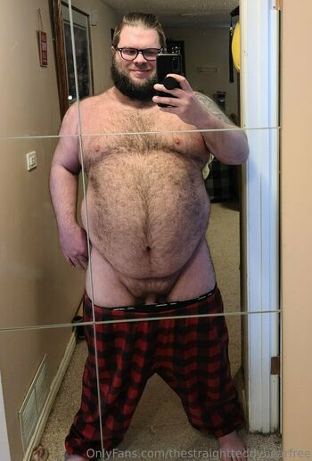 thestraightteddybearfree
