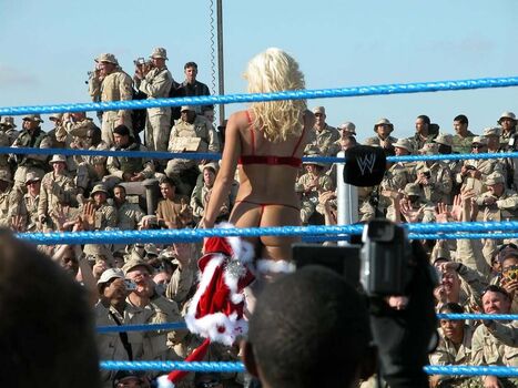Torrie Wilson