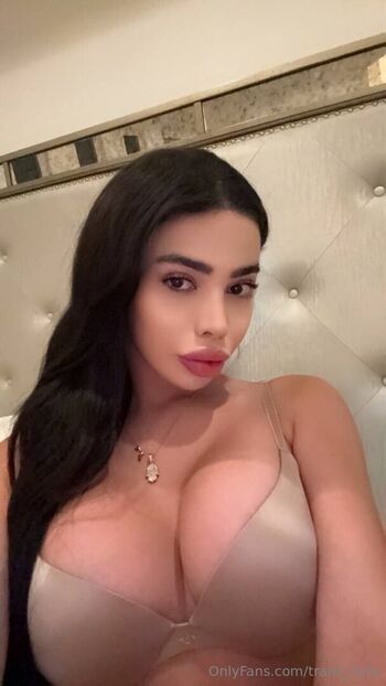 trans_nyla