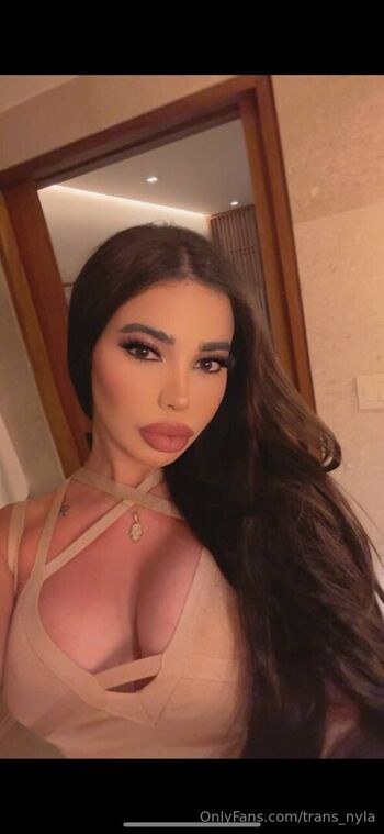 trans_nyla
