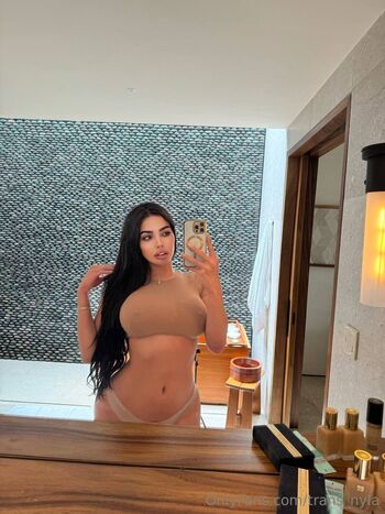 trans_nyla