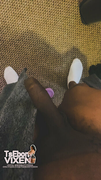 tsebonyvixen