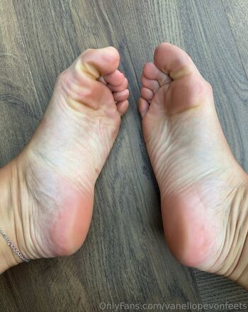 vanellopevonfeets