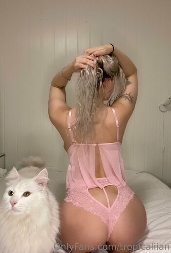 Vikkzy