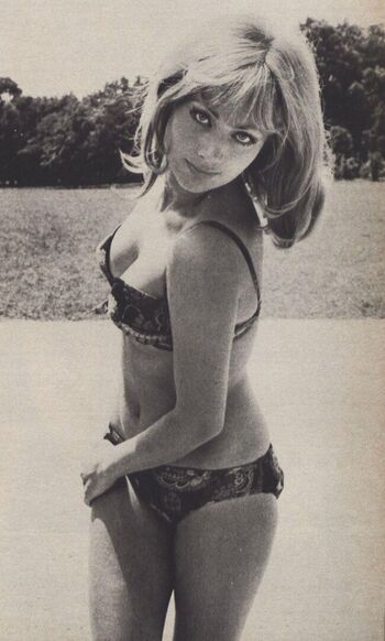 Vintage Starlets