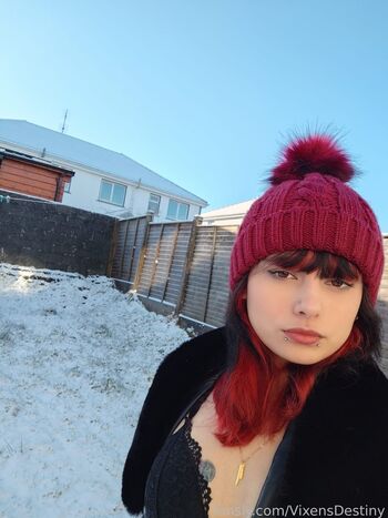 VixensDestiny