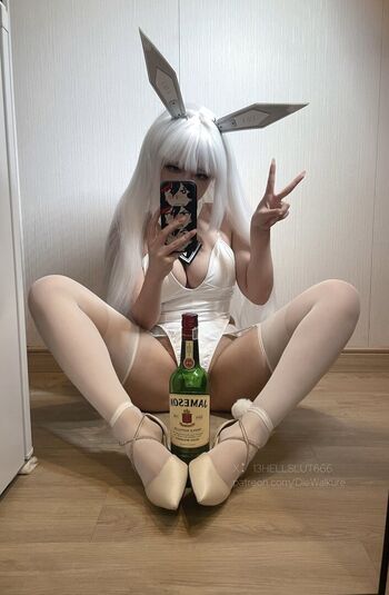 絞肉姬Walküre