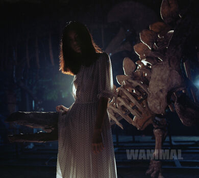 Wanimal Models