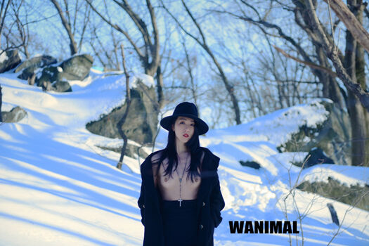 Wanimal Models