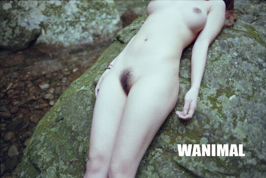 Wanimal Models