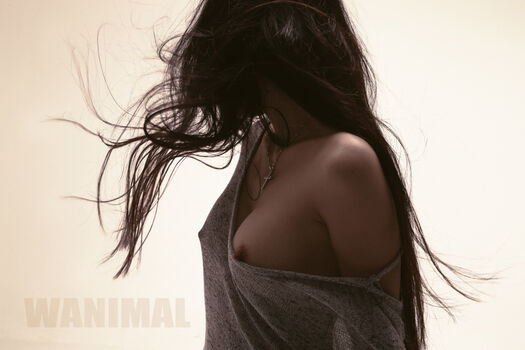 Wanimal Models