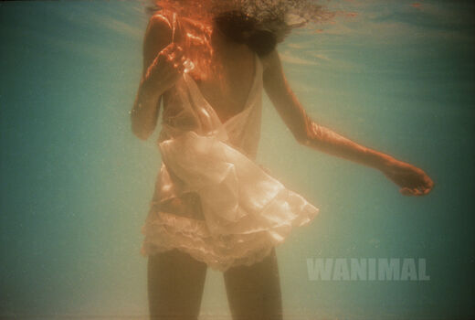 Wanimal Models