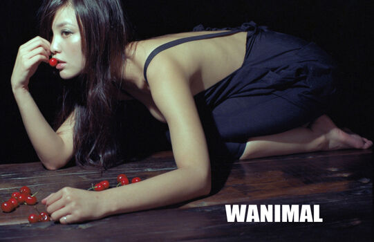 Wanimal Models
