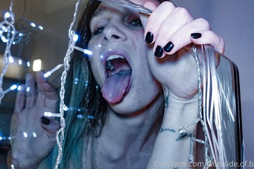 wild.side.of.b