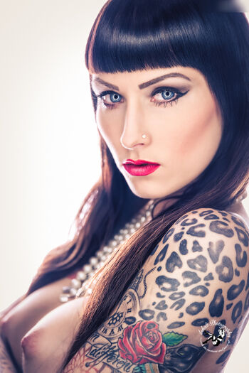 Wildcat Ink