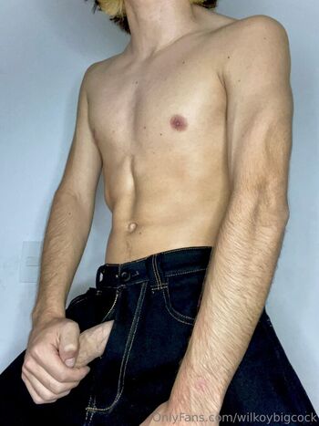 wilkoybigcock