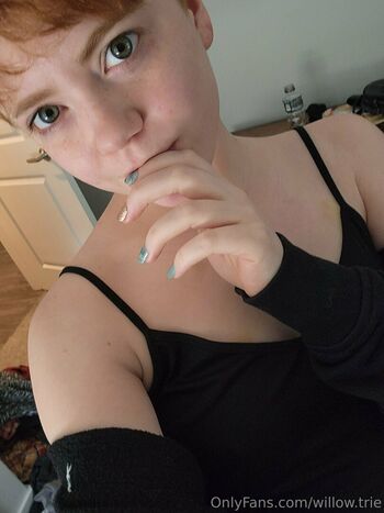 Willow.trie