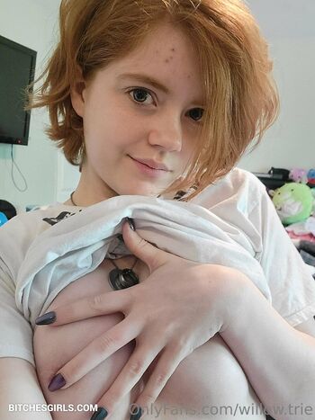 Willow.trie