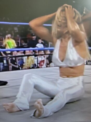 WWE Torrie Wilson