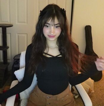xmisabear