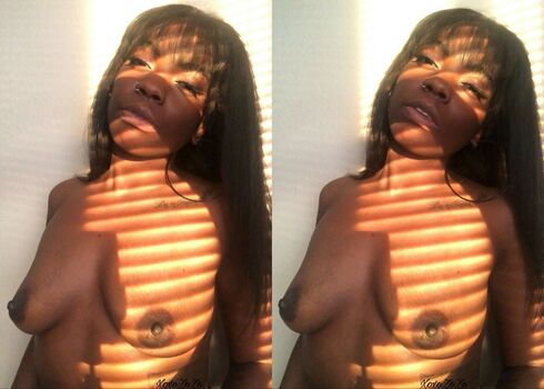 xoxozozo_