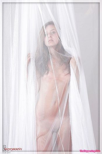Uncategorized